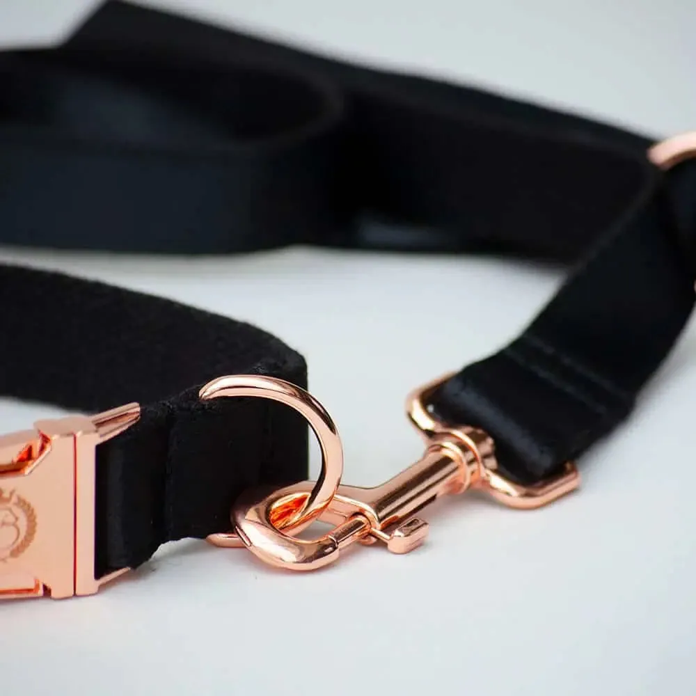 Hunde-Halsband "Evening"