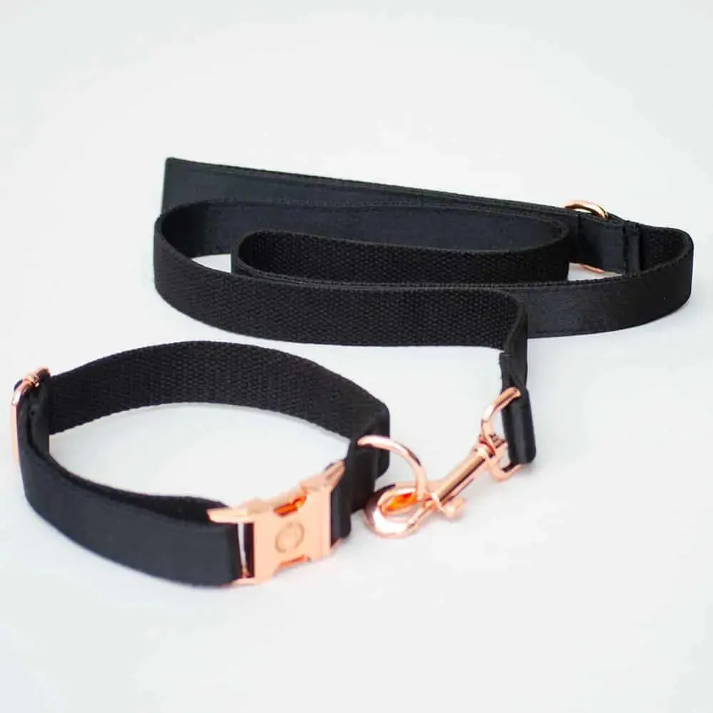 Hunde-Halsband "Evening"