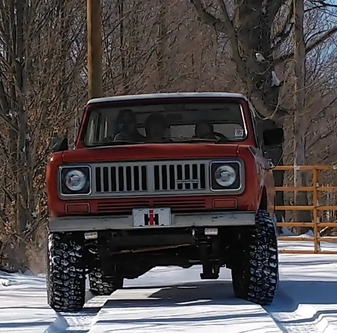 IH License Plate